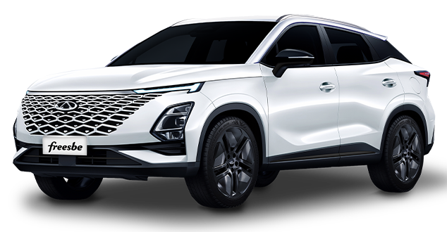 CHERY FX